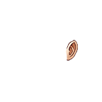 oreille de femme