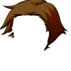 Cheveux bruns